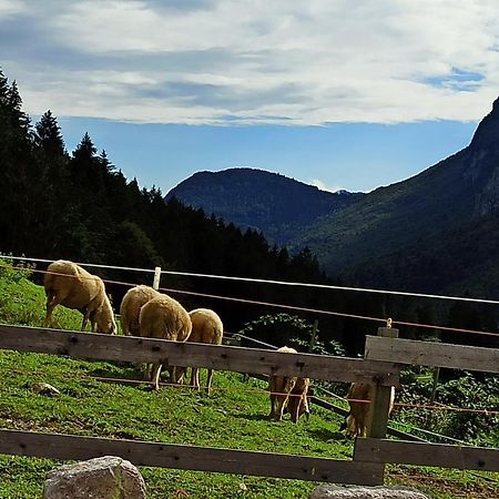 Agriturismo Maso Pertener -Adults Friendly- Comano Terme Exterior photo